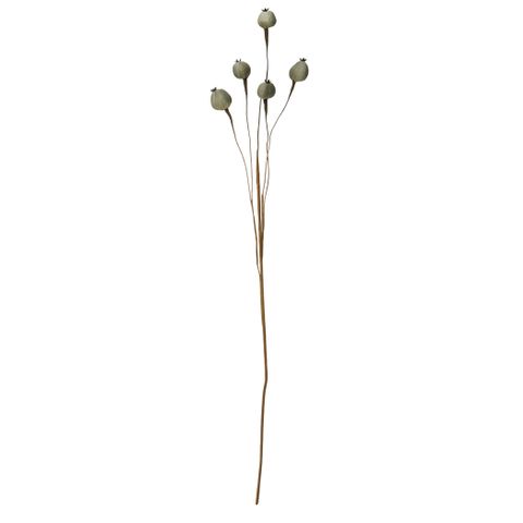 Poppy seed spray